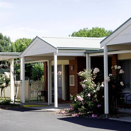 Rose Garden Motel Geelong Kültér fotó