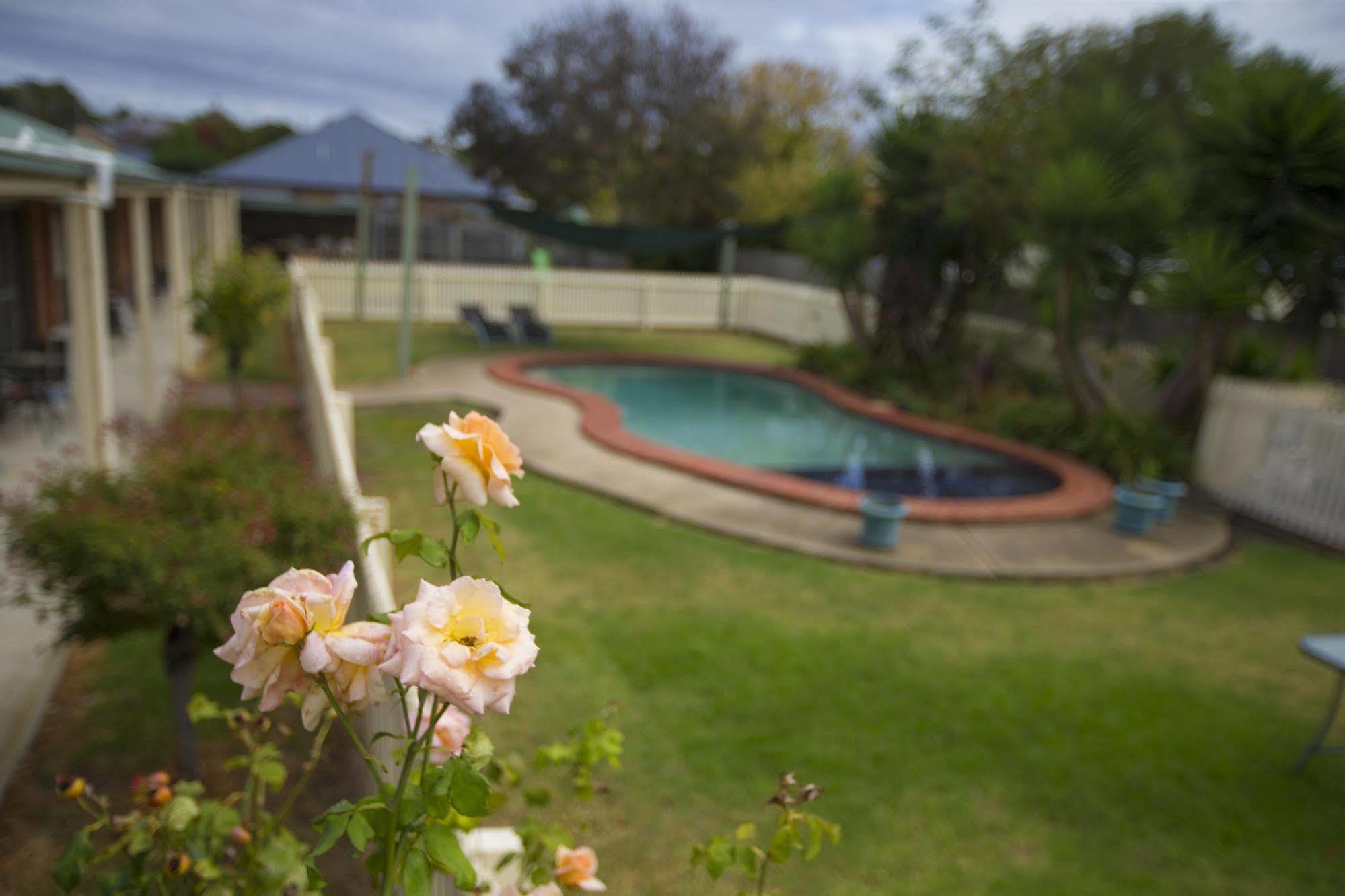 Rose Garden Motel Geelong Kültér fotó
