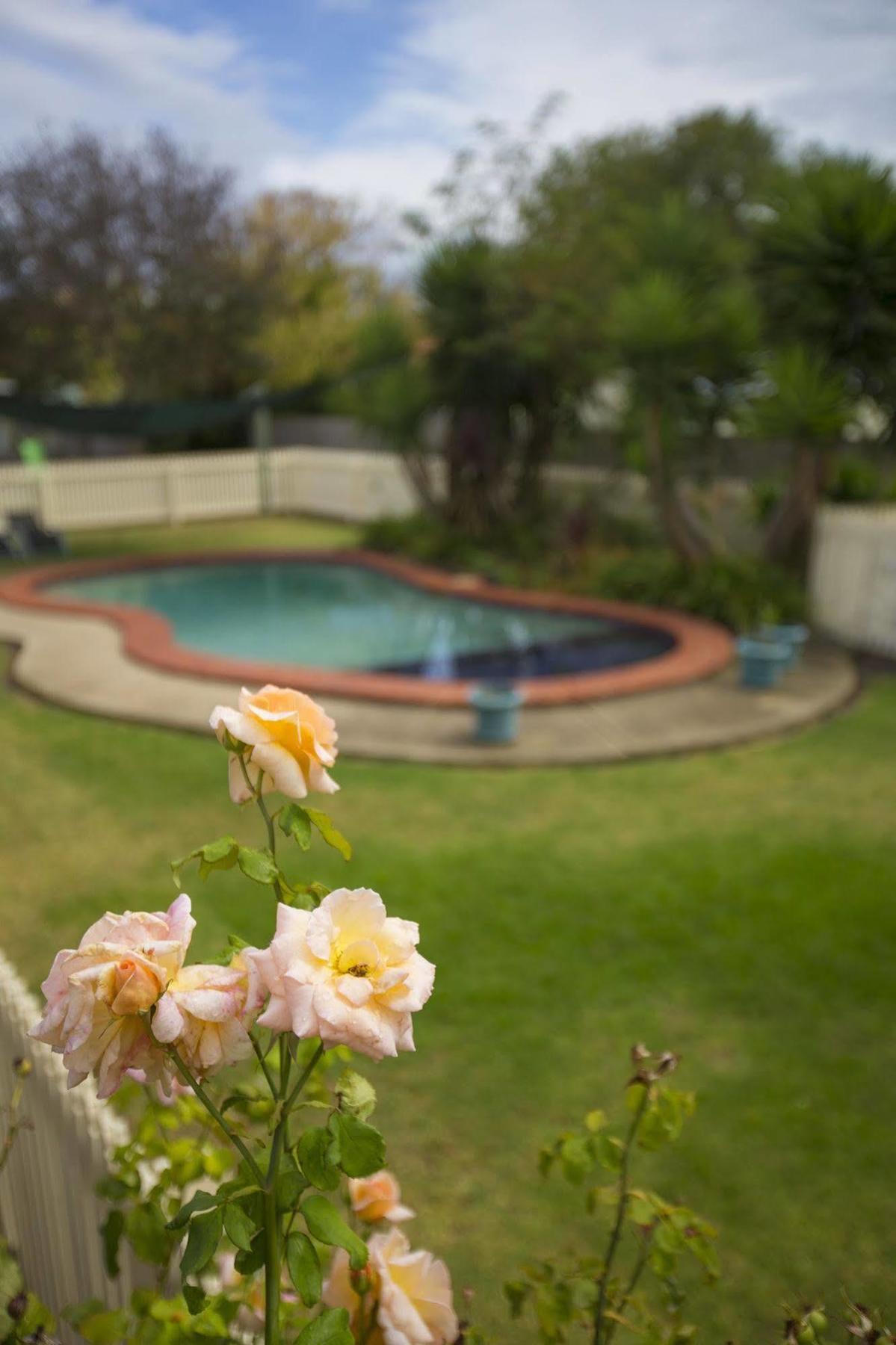 Rose Garden Motel Geelong Kültér fotó